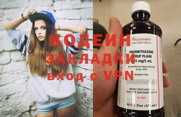 молекула духа Ладушкин