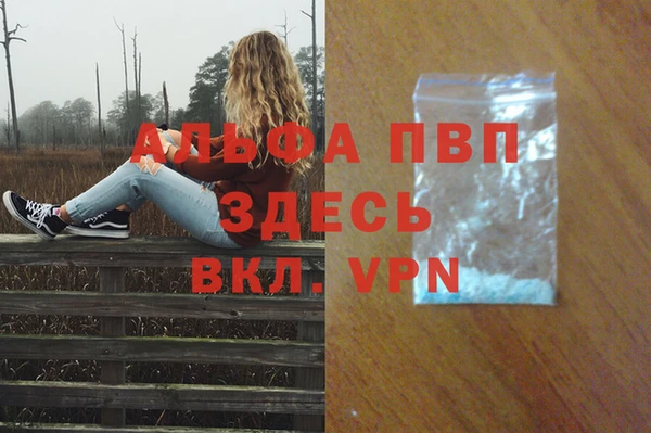 PSILOCYBIN Лагань