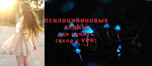 молекула духа Ладушкин