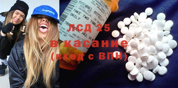молекула духа Ладушкин