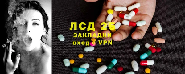 молекула духа Ладушкин