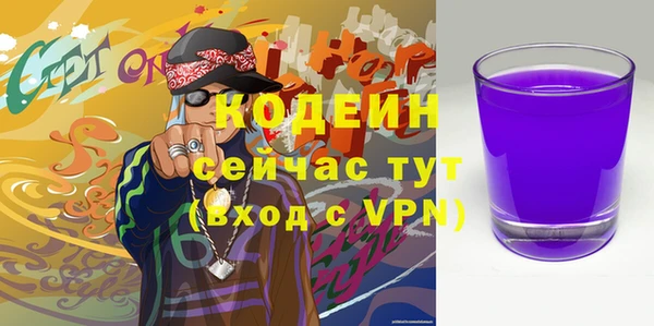 молекула духа Ладушкин