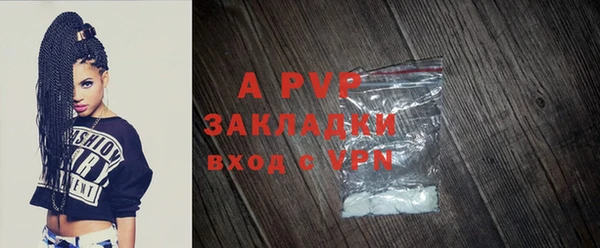 PSILOCYBIN Лагань