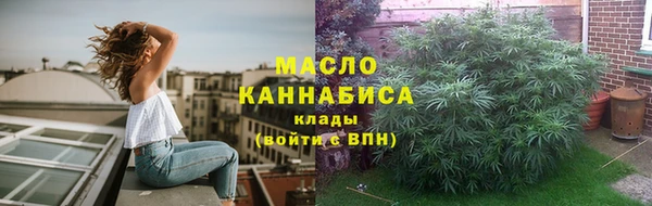 молекула духа Ладушкин