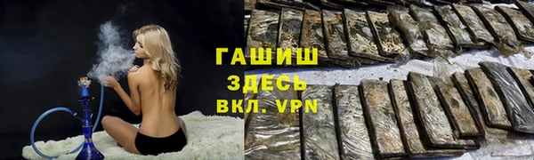 молекула духа Ладушкин