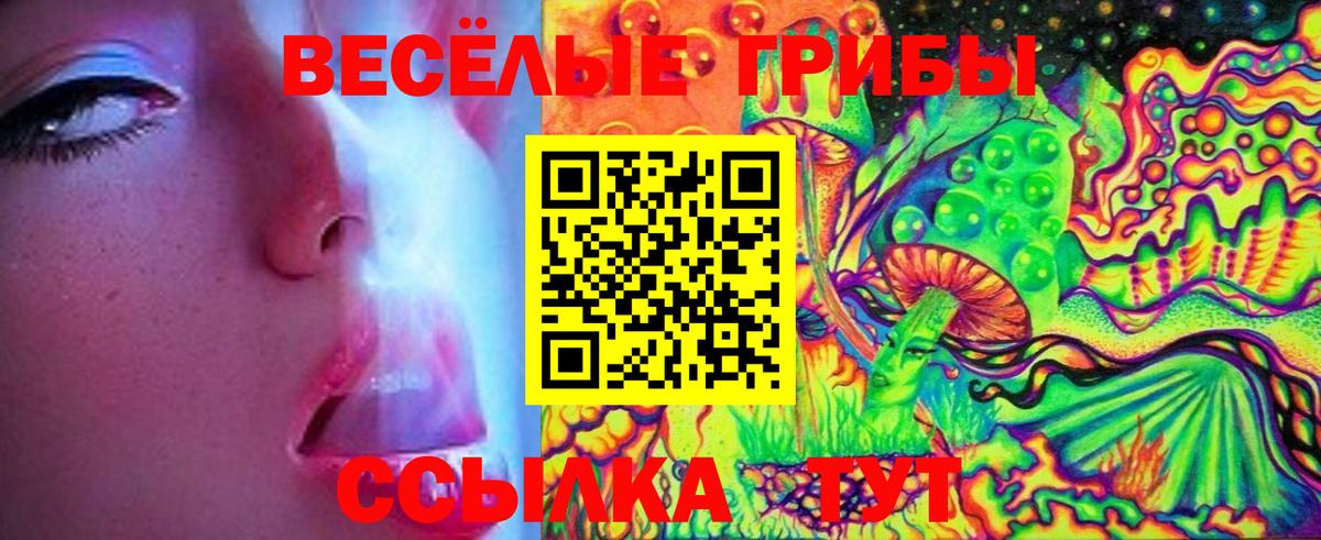 Галлюциногенные грибы GOLDEN TEACHER  Галлюциногенные грибы MAGIC MUSHROOMS  Вход с VPN  Ухта 
